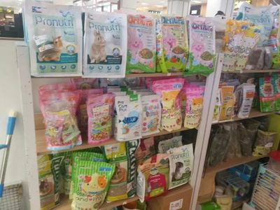 倒计时21天!2018郑州国际宠物用品展跑市场·安阳站